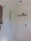  custom rails glass and shower rose