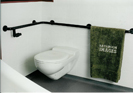disabled bathroom systems