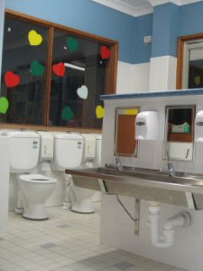 ladies bathroom design
