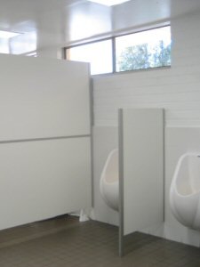 ladies bathroom design