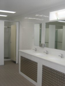 ladies bathroom design