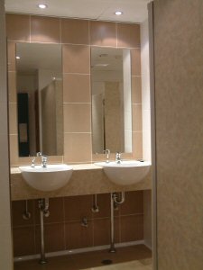 ladies bathroom design