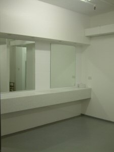 ladies bathroom design
